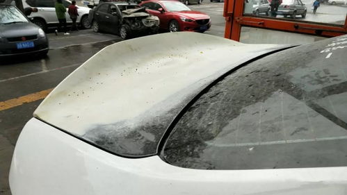 全國首例起亞k2寬體改裝車,小眾車也能玩出自己的風格