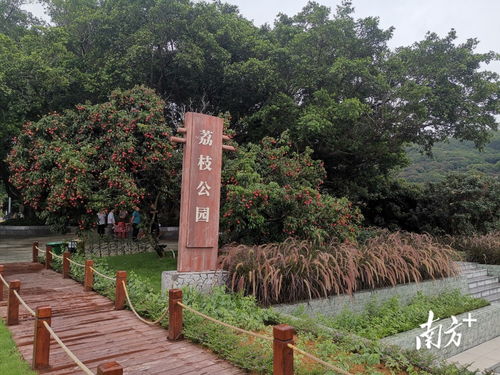 汕尾市城區這兩條示范帶, 帶 出多個美麗鄉村