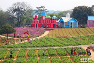 東莞松湖生態(tài)園團(tuán)隊旅游休閑度假田園生活戶外農(nóng)家樂